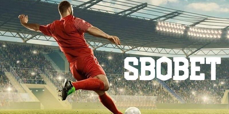 SBOBET Sport  - Sảnh cá cược thể thao New88 cực hấp dẫn 4 SBOBET Sport  - Sảnh cá cược thể thao New88 cực hấp dẫn