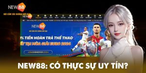 Nhà Cái NEW88 Có Uy Tín Không Hay Lừa Đảo? 2 Tổng quan về nhà cái NEW88